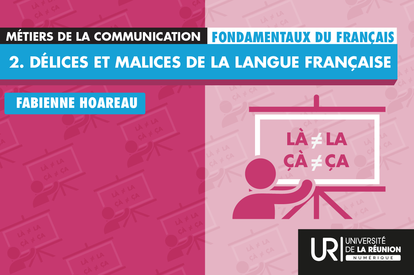 Fondamentaux du français : Délices et Malices de la langue française L3M3C_FF2