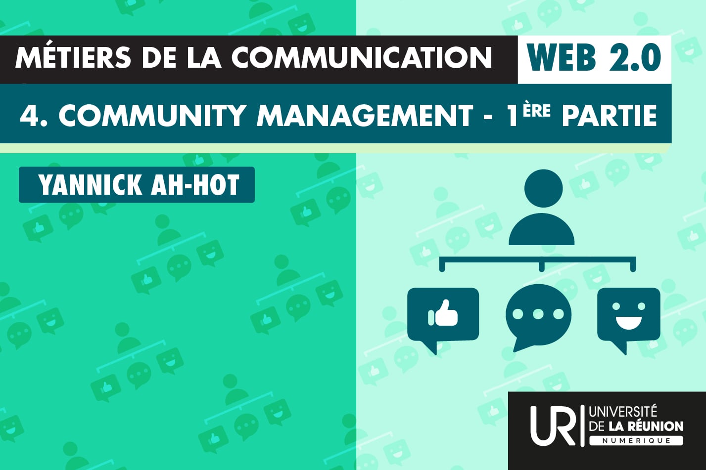 Métiers de la communication: Web 2.0,Community management de la LPRO M3C et autres cas entreprises L3M3C_WEB4